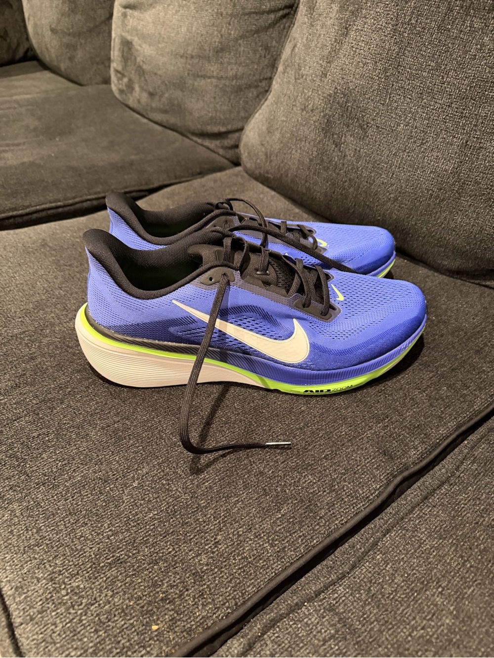 Nike Pegasus